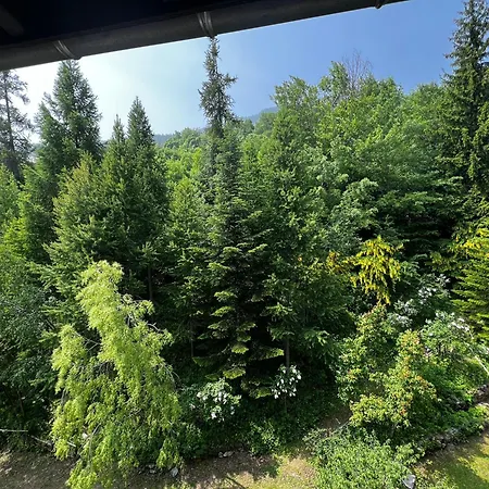 Διαμέρισμα Entier Duplex 34m2 Au Seignus *