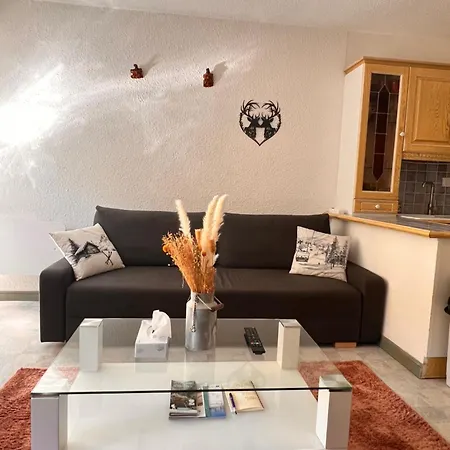 Apartamento Entier Duplex 34m2 Au Seignus Allos