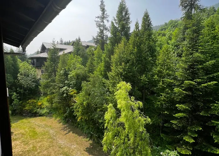 Entier Duplex 34m2 Au Seignus Διαμέρισμα Allos