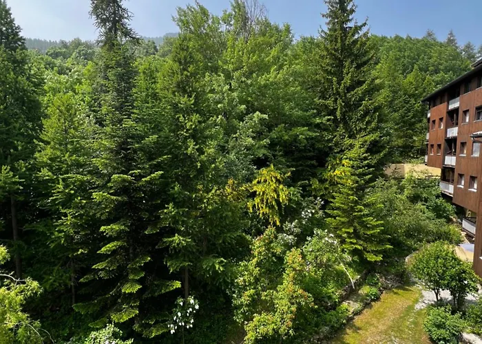 Διαμέρισμα Entier Duplex 34m2 Au Seignus Allos